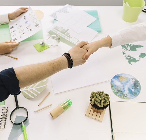 sustainability in business